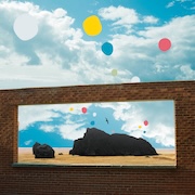 DVD/Blu-ray-Review: Admiral Fallow - First Of The Birds