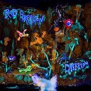 DVD/Blu-ray-Review: Rob Harrison - Overflow